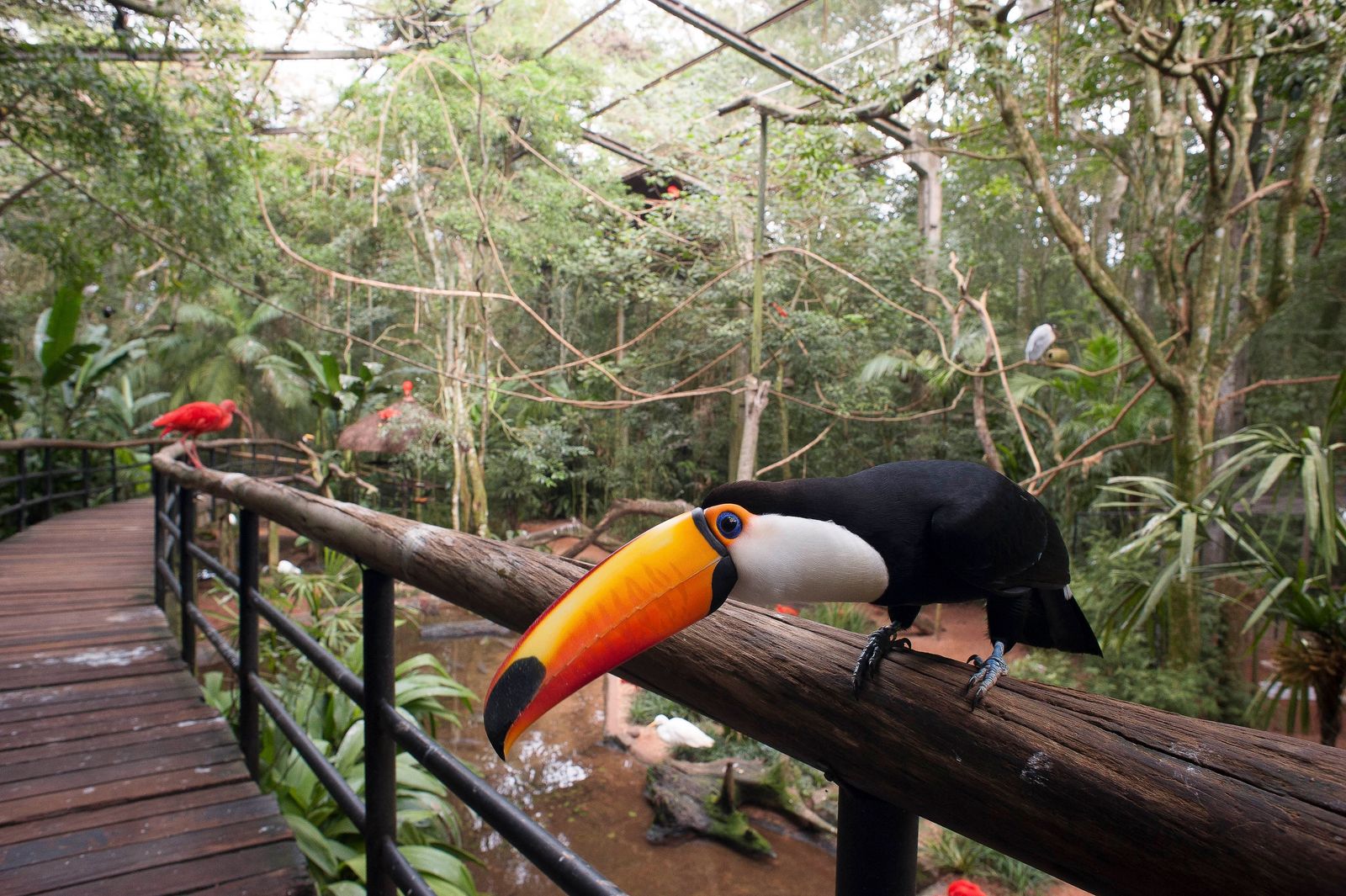Parque das Aves