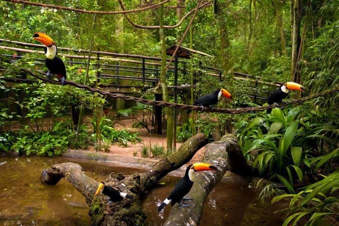 Parque das Aves