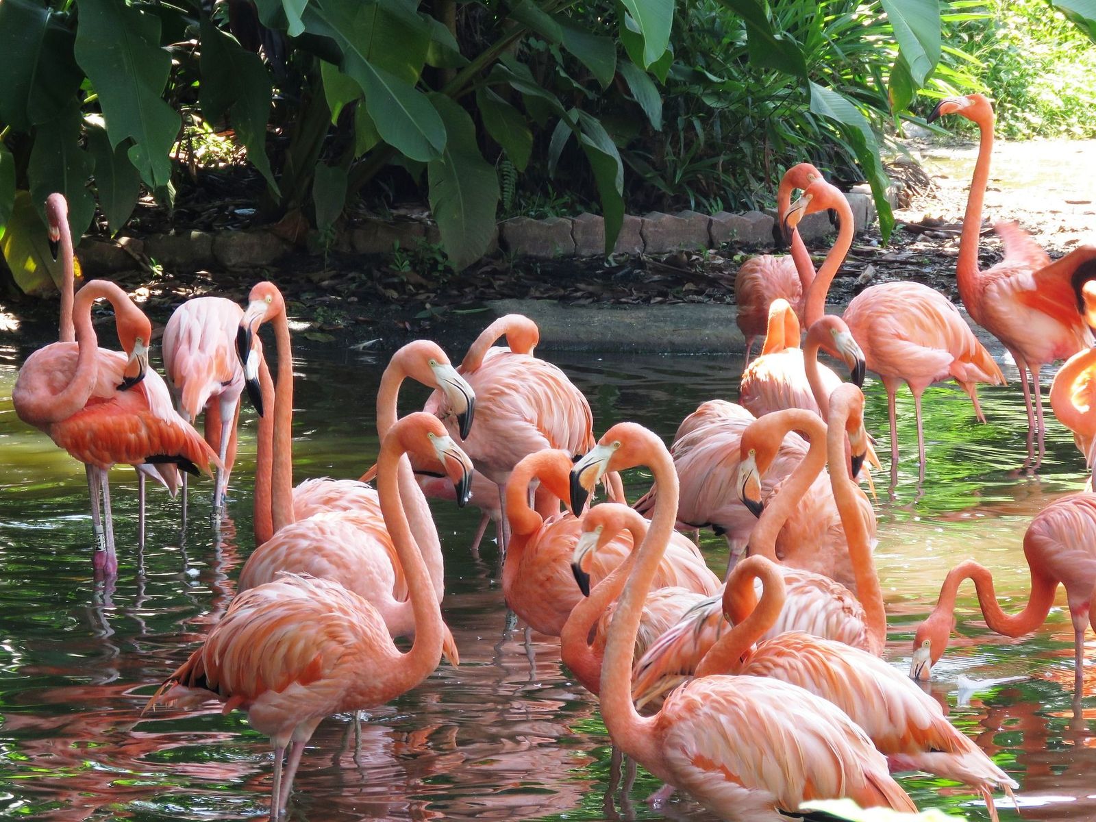 Parque das Aves
