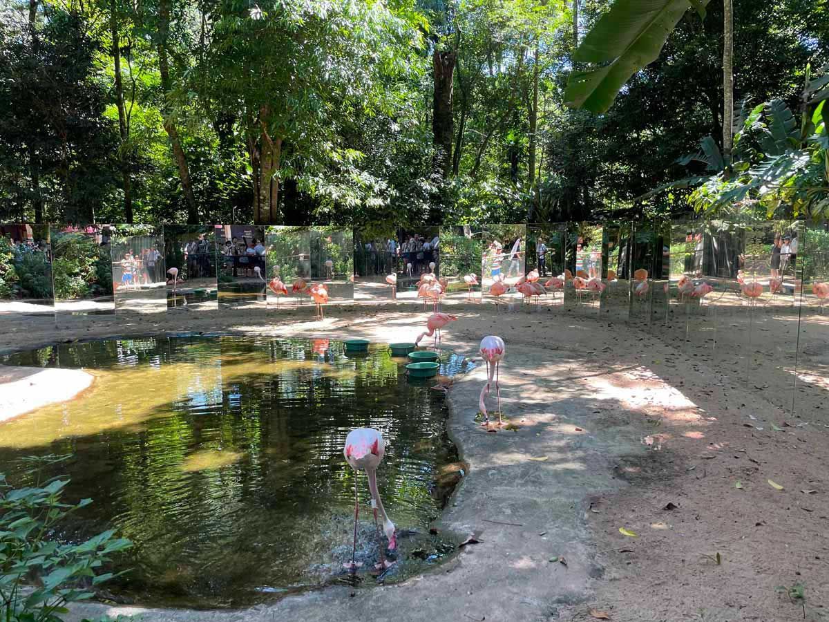 Parque das Aves