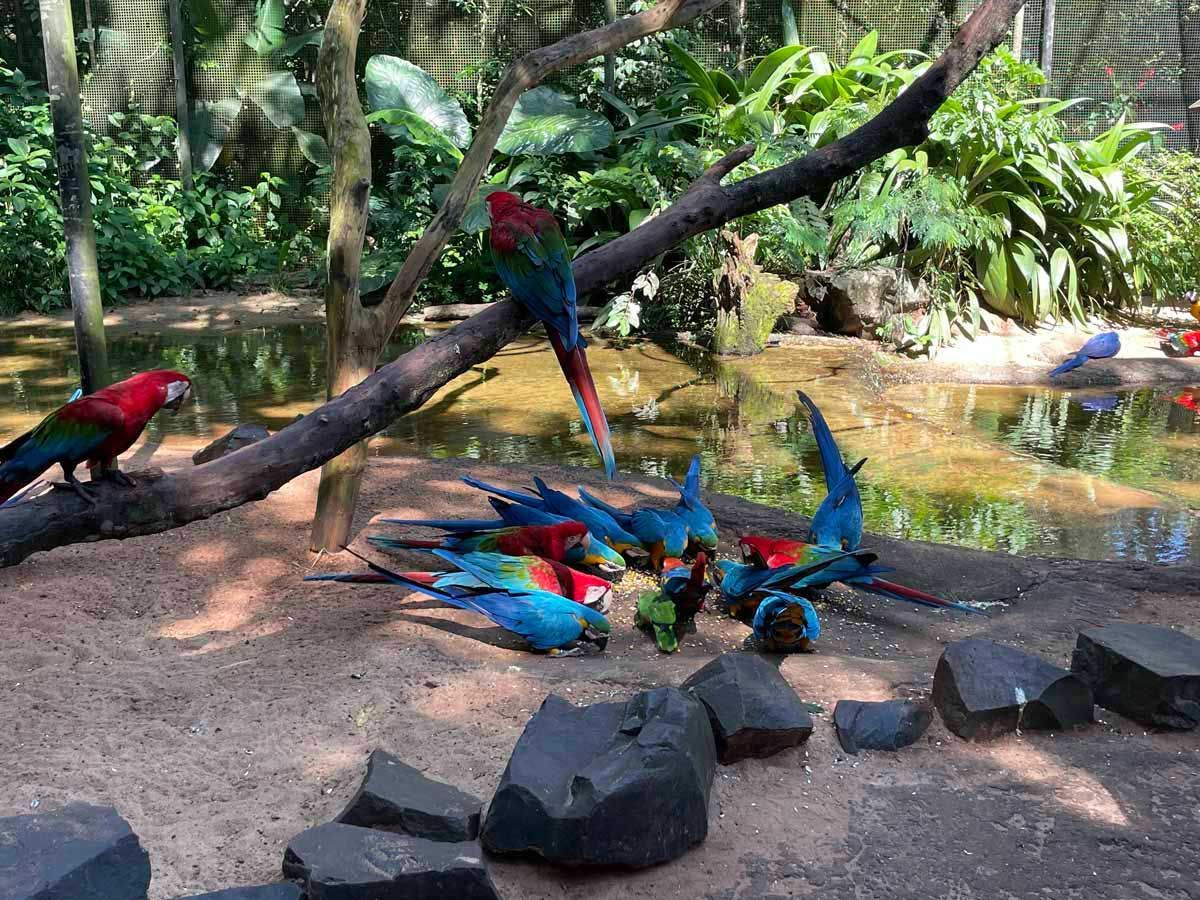 Parque das Aves