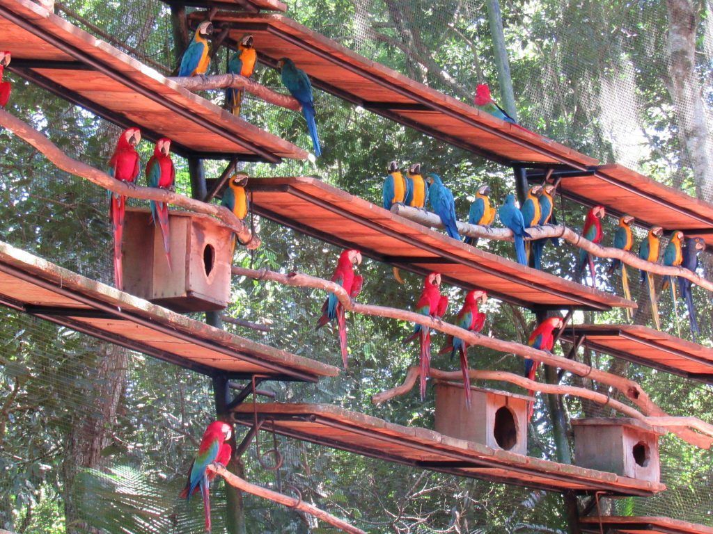 Parque das Aves